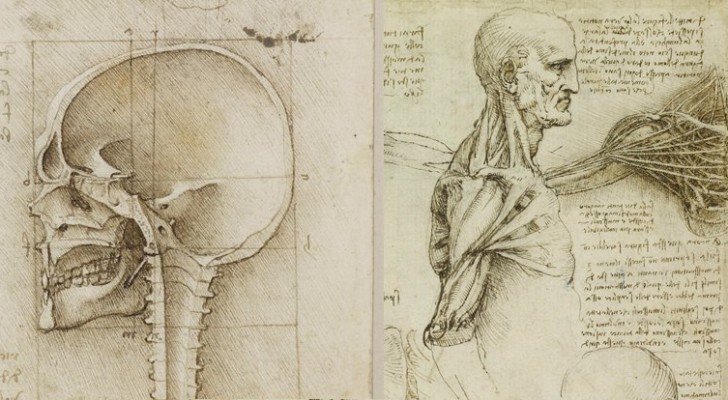 Distinguer les thérapies manuelles de la kinésiologie